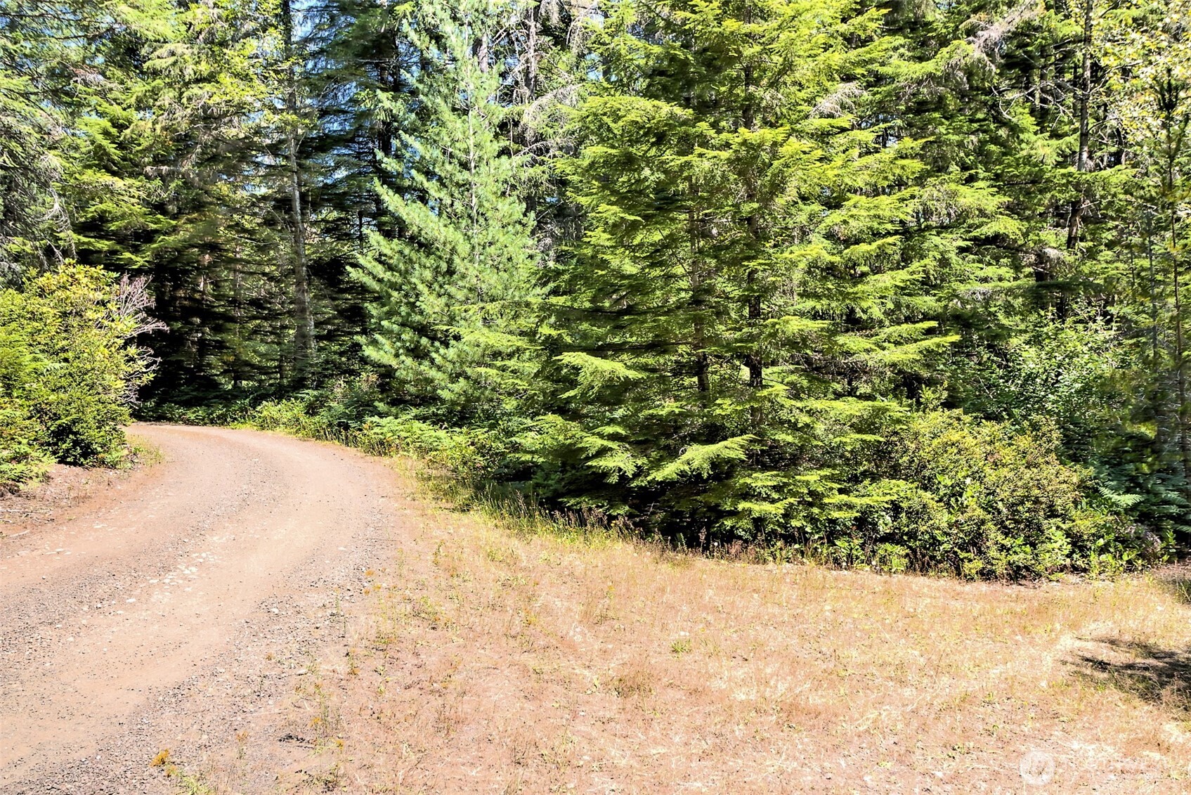 0 Ne Eagle Creek Lane Property Photo 3