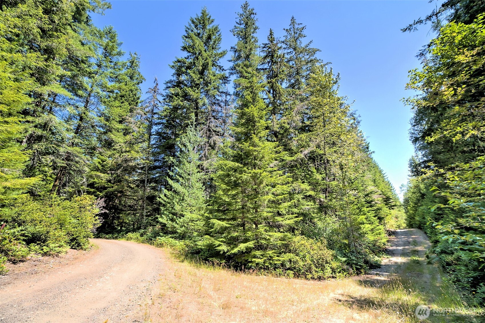 0 Ne Eagle Creek Lane Property Photo 4