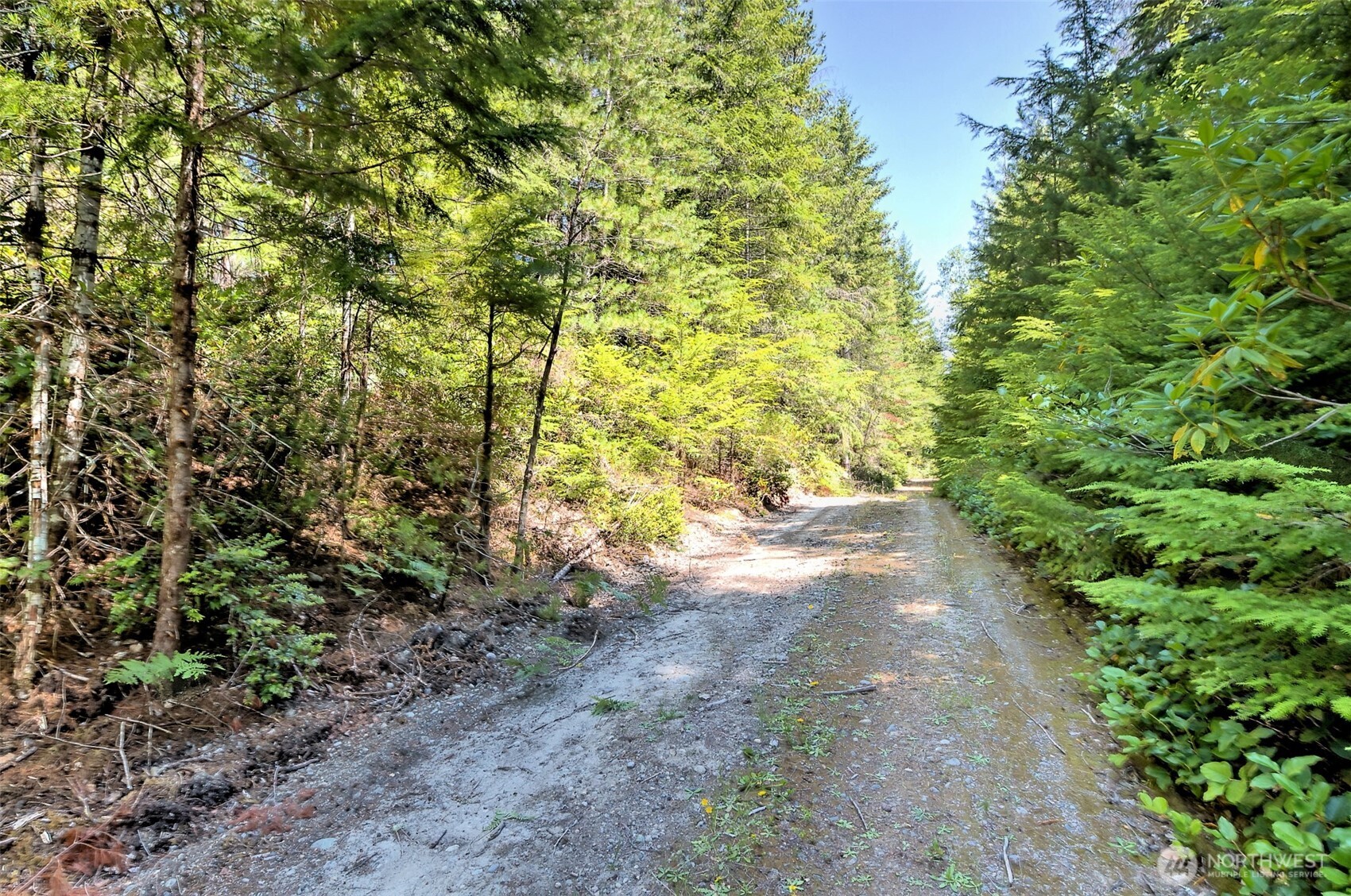 0 Ne Eagle Creek Lane Property Photo 7