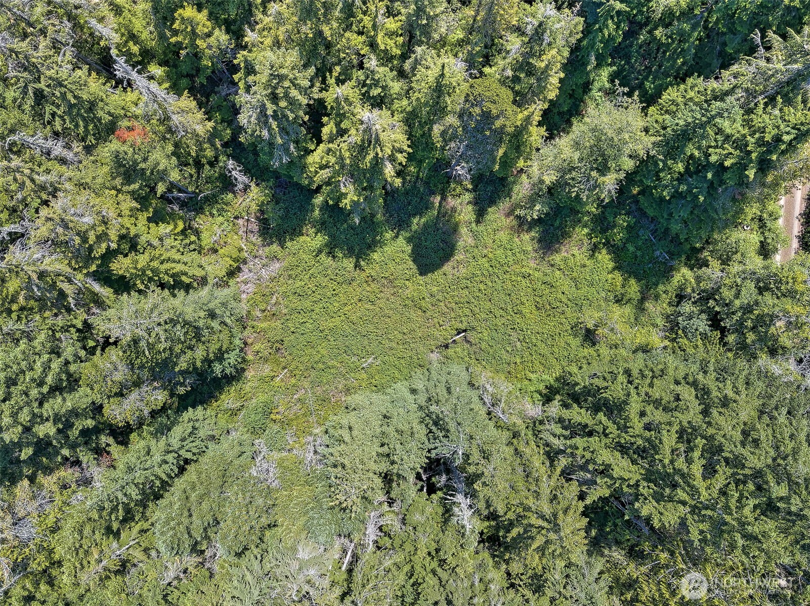 0 Ne Eagle Creek Lane Property Photo 10