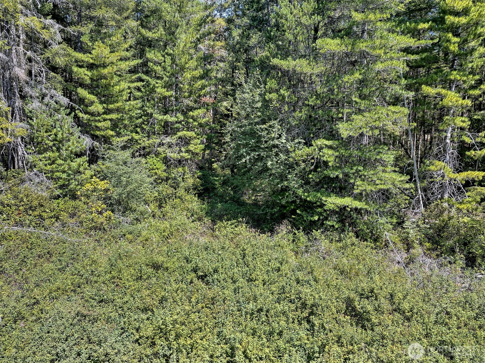 0 Ne Eagle Creek Lane Property Photo 11