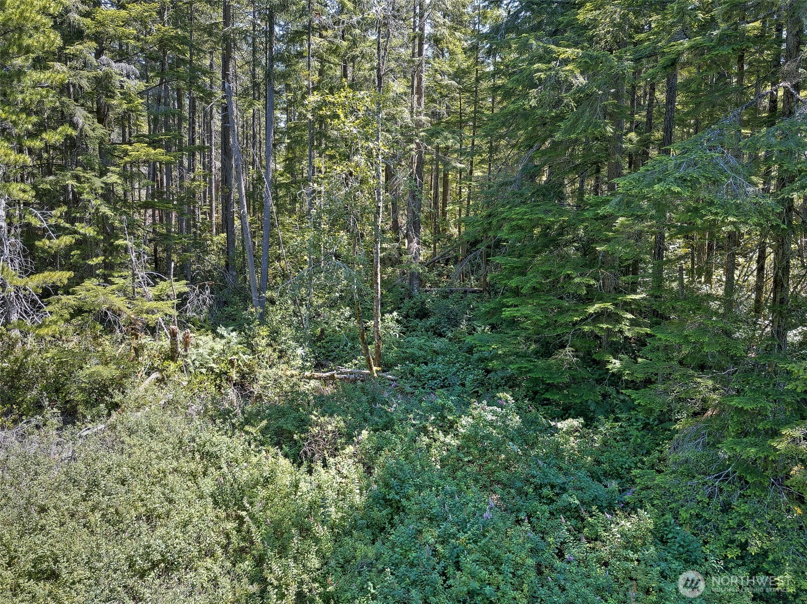 0 Ne Eagle Creek Lane Property Photo 12