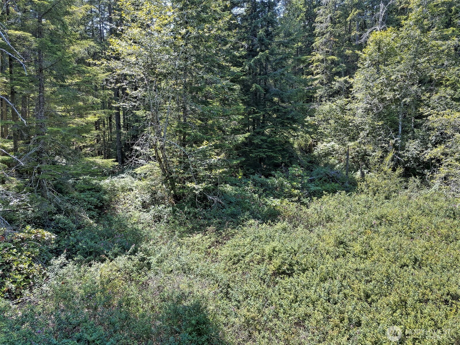 0 Ne Eagle Creek Lane Property Photo 14