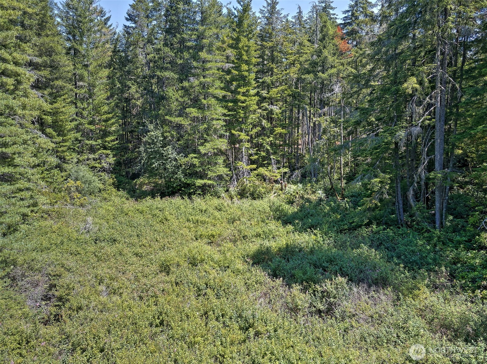 0 Ne Eagle Creek Lane Property Photo 15