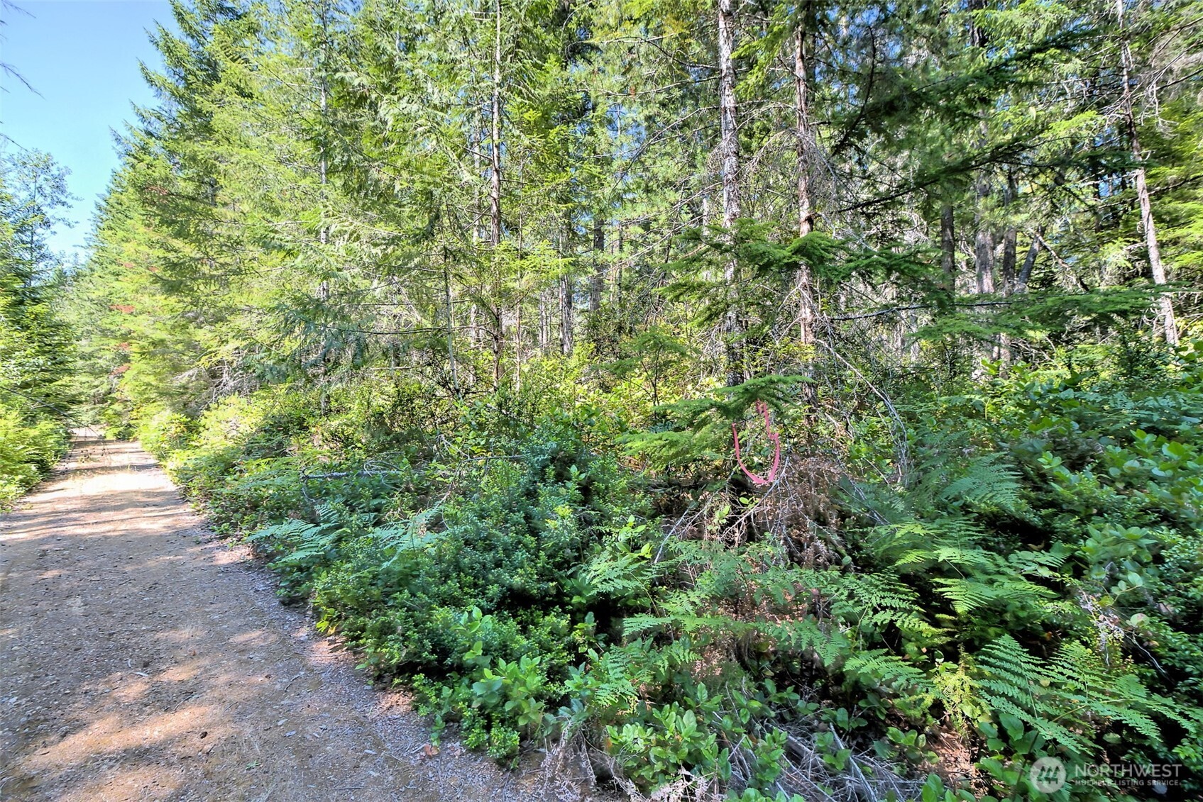 0 Ne Eagle Creek Lane Property Photo 17