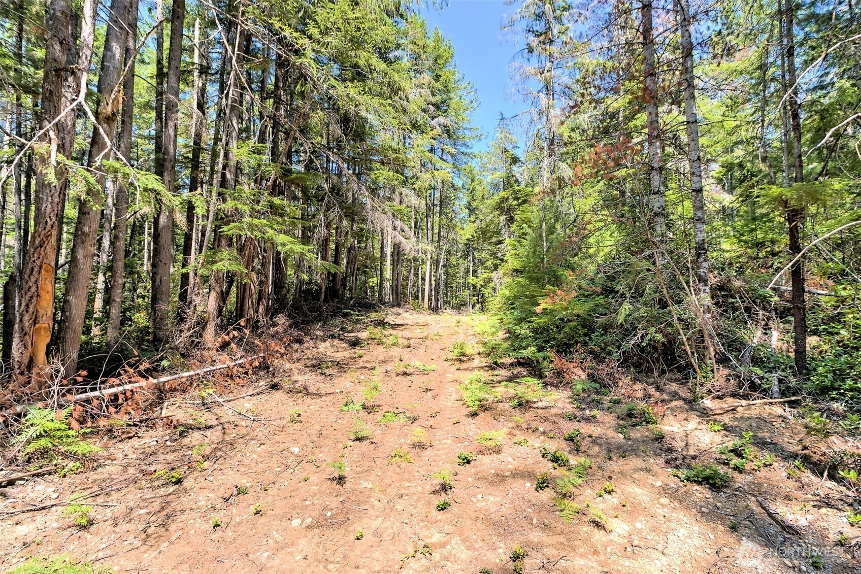 0 Ne Eagle Creek Lane Property Photo 18