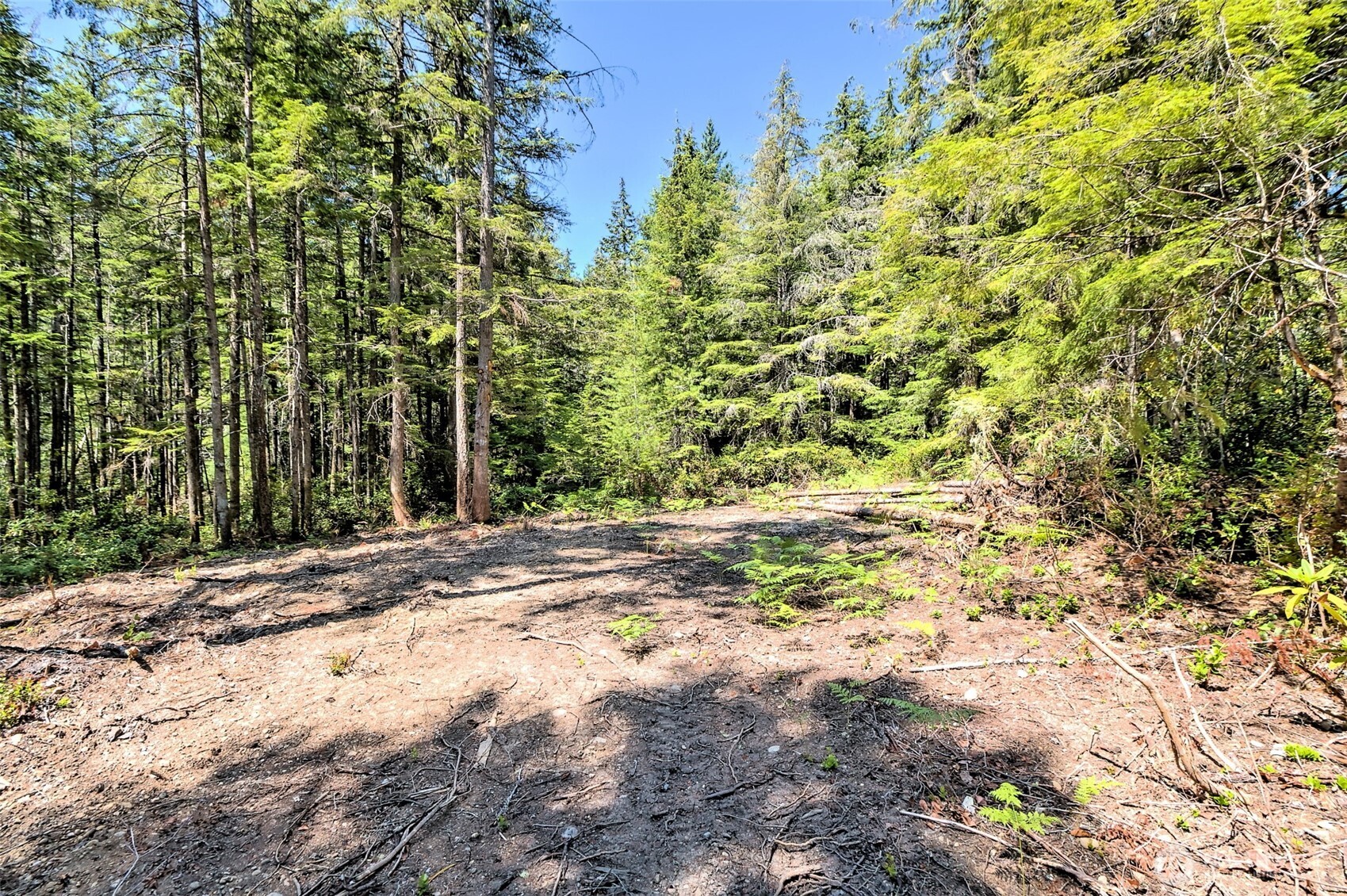 0 Ne Eagle Creek Lane Property Photo 21