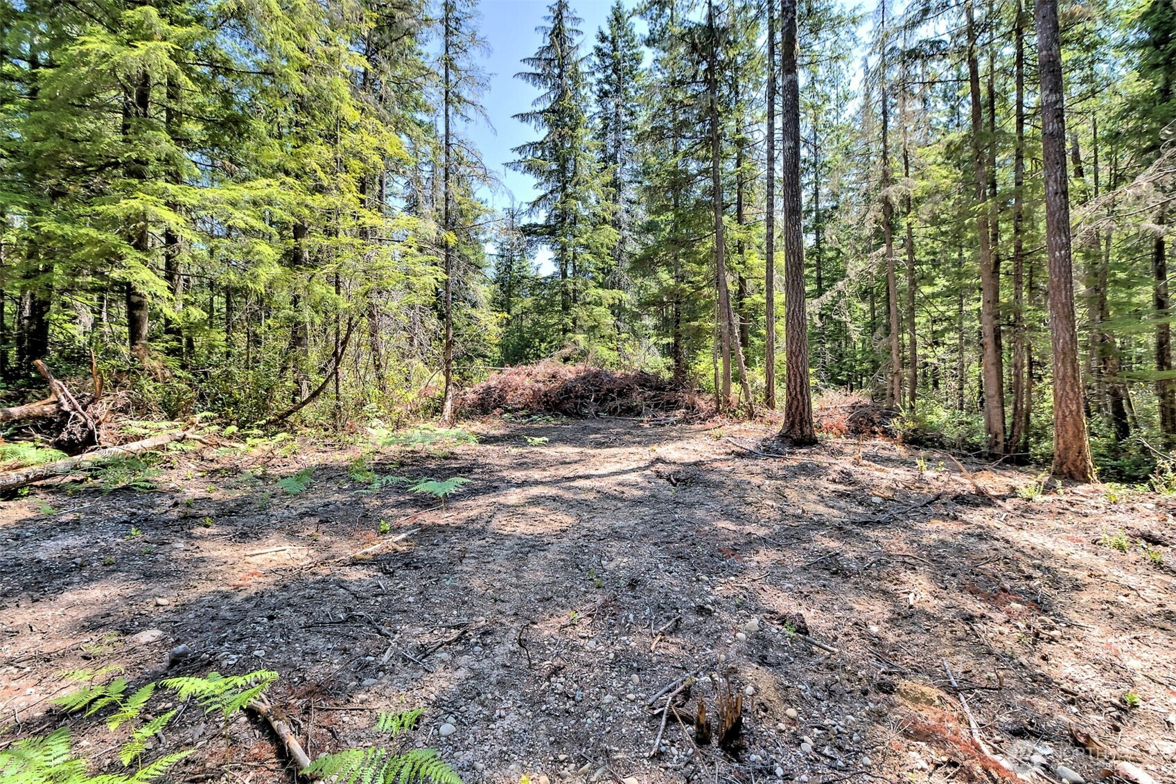 0 Ne Eagle Creek Lane Property Photo 22