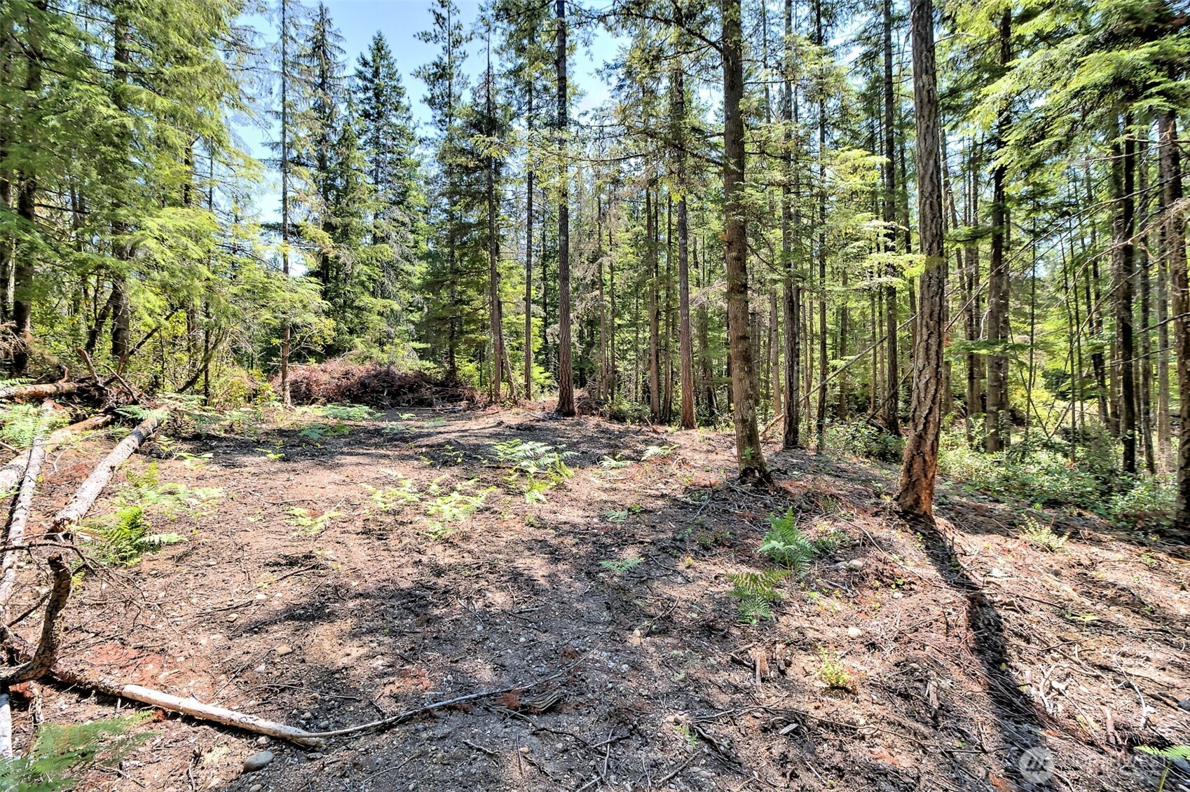 0 Ne Eagle Creek Lane Property Photo 23