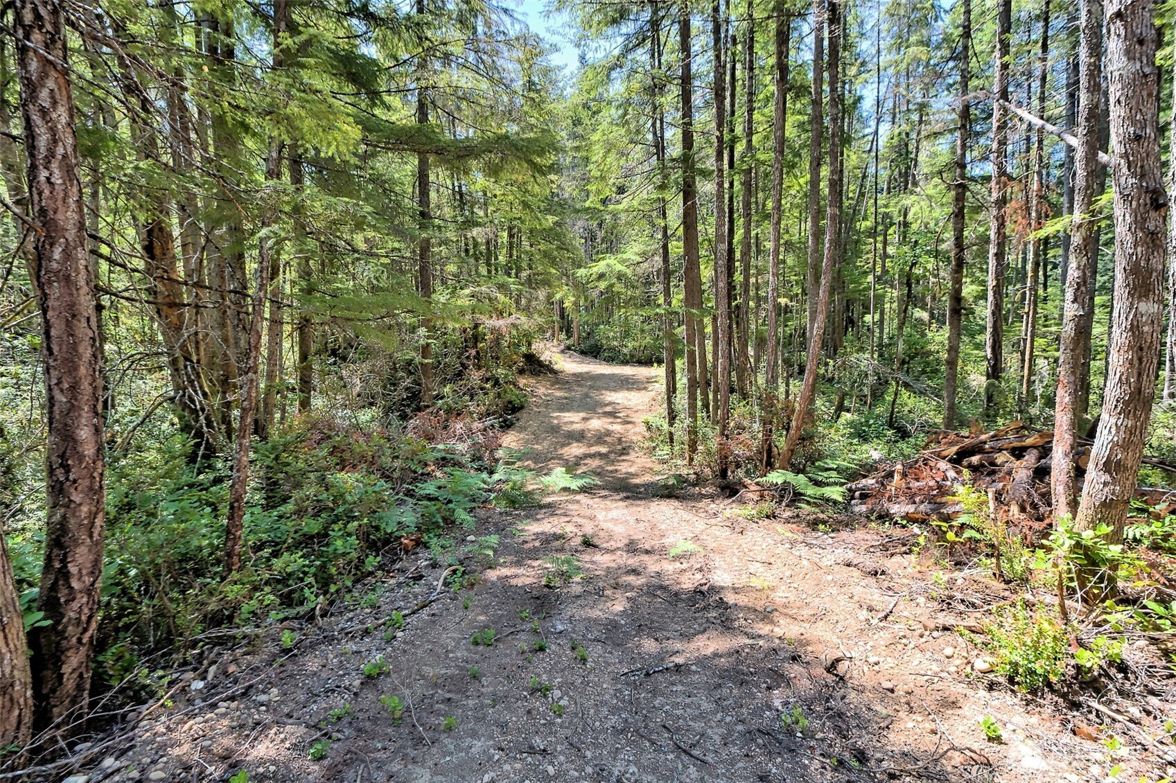 0 Ne Eagle Creek Lane Property Photo 24
