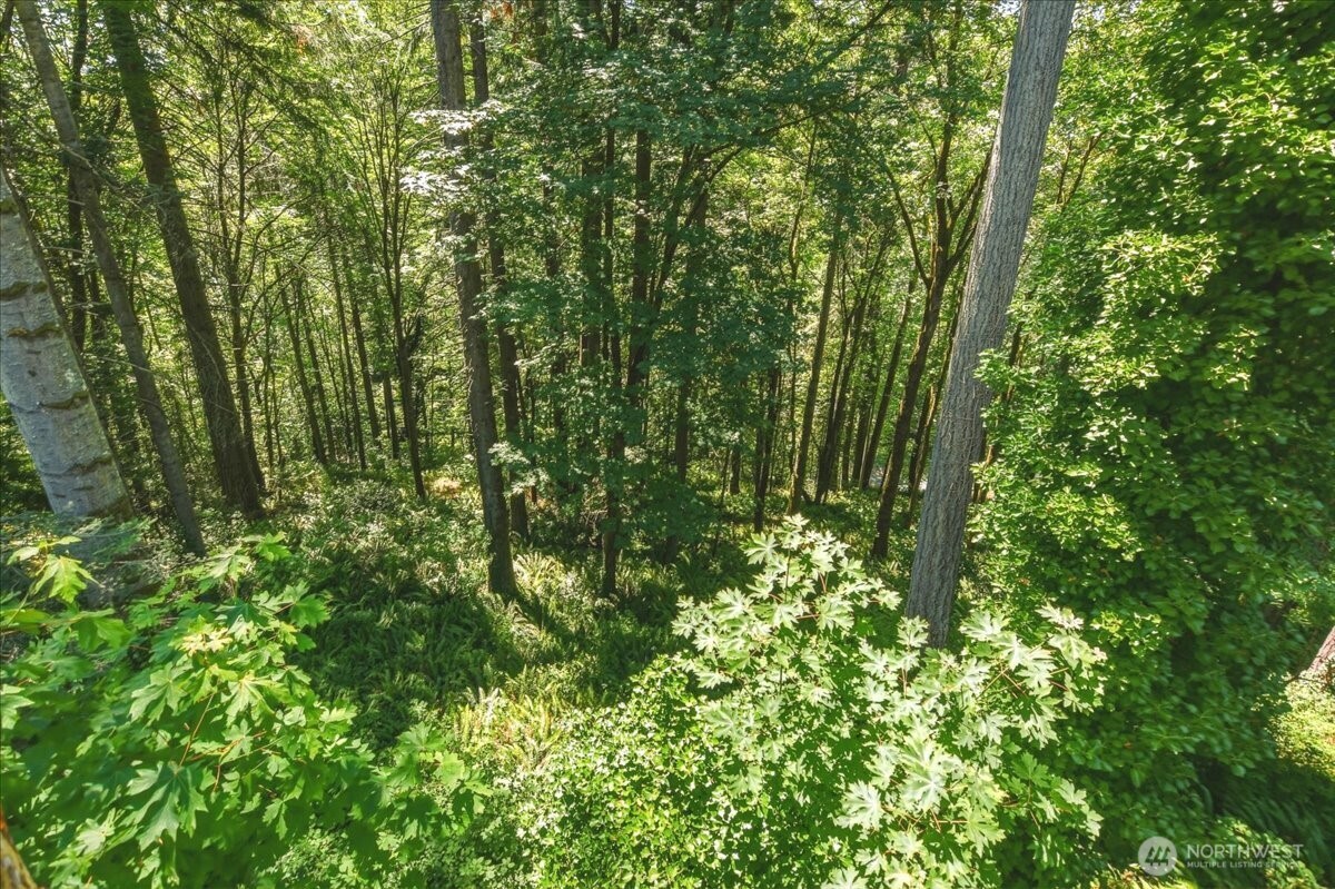 2425 Archwood Drive Property Photo 36