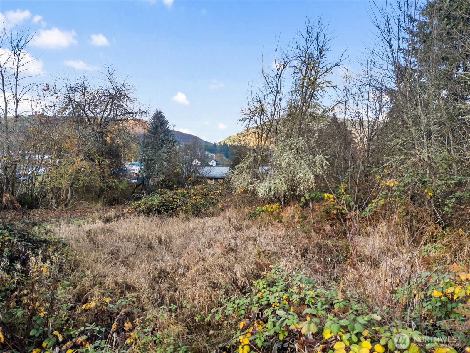2 Roosevelt Road Property Photo 4