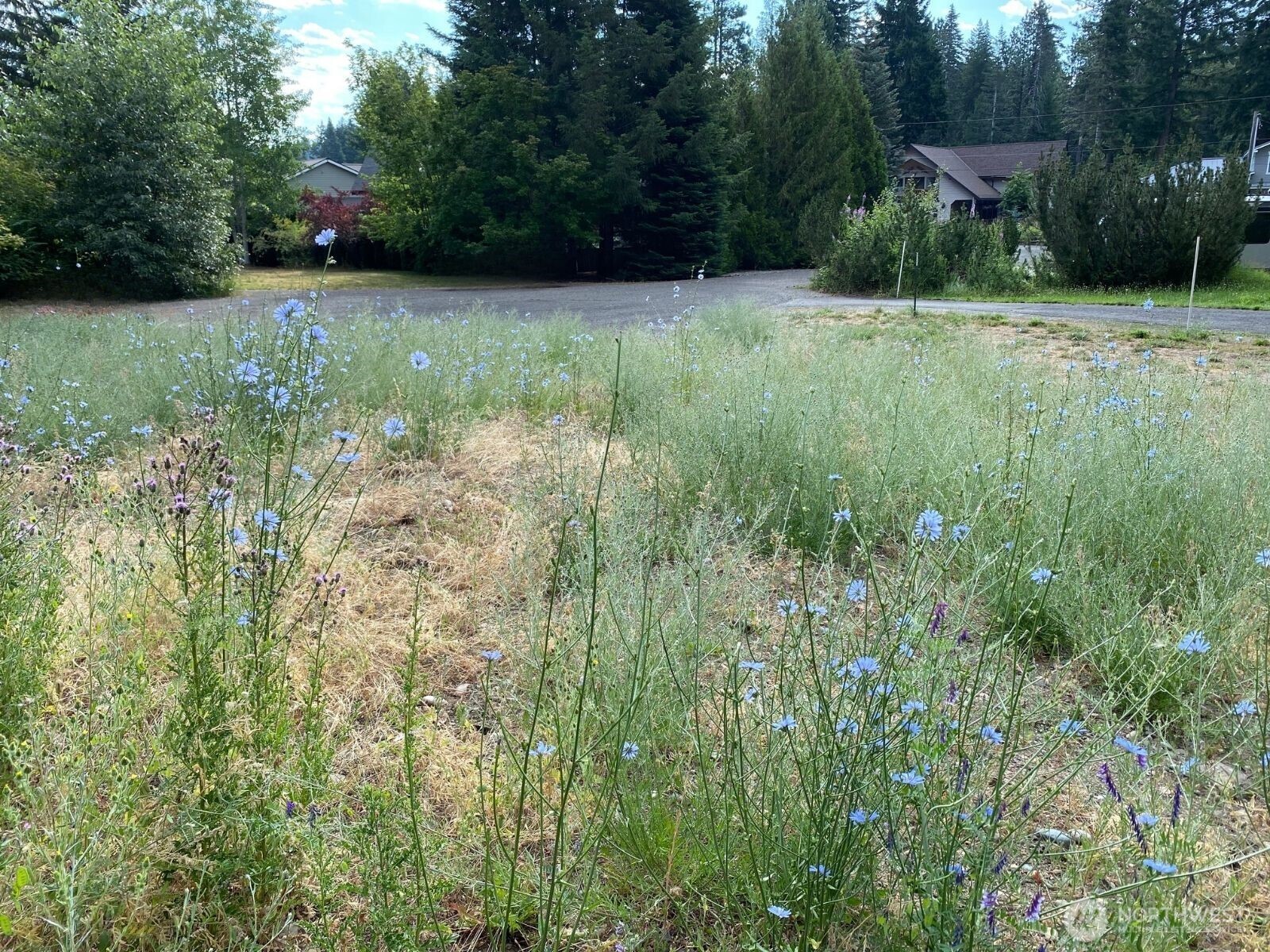 7 Lot Kuhuku Court Property Photo 1