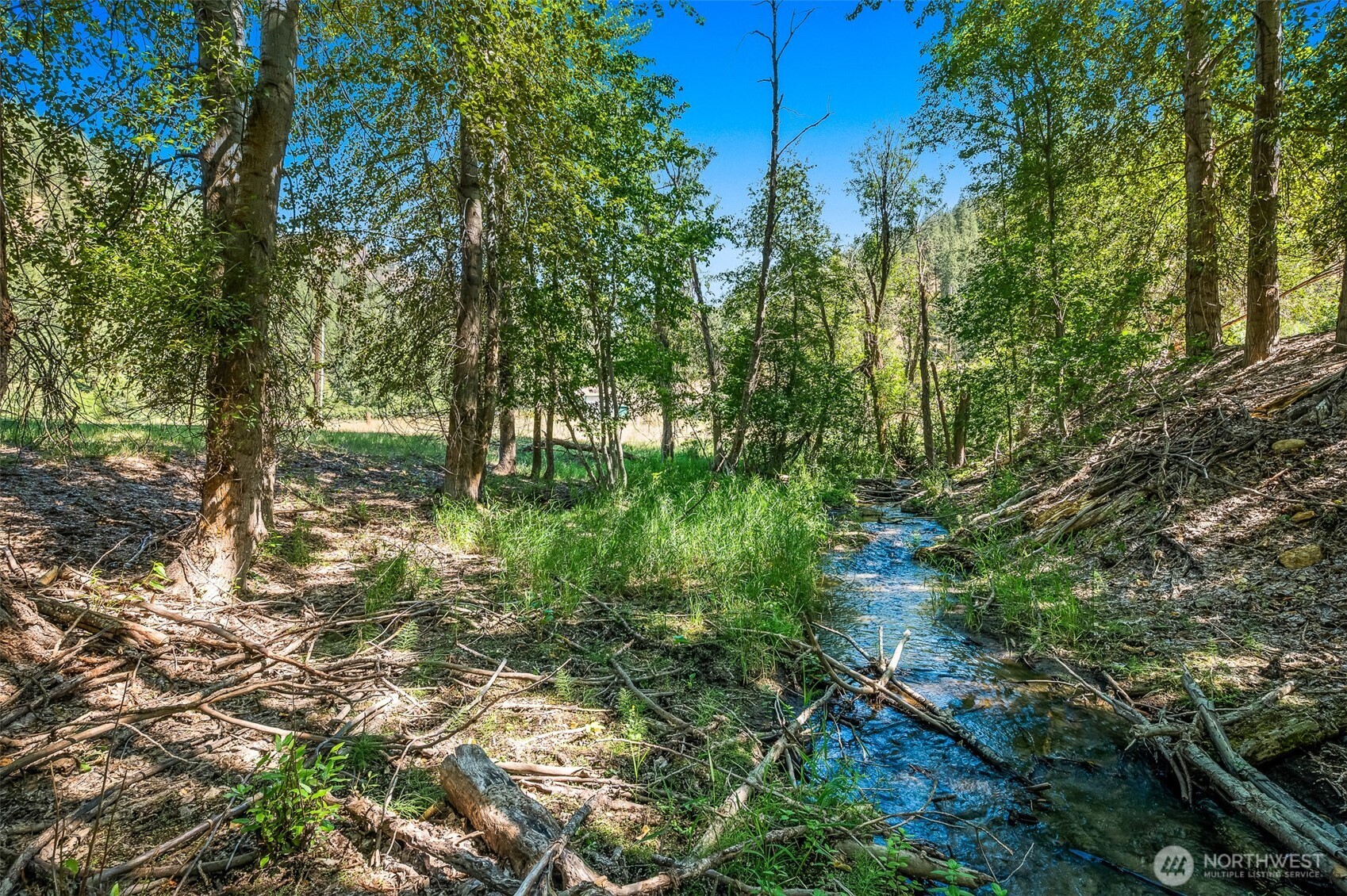 10547 Merry Canyon Road Property Photo 5