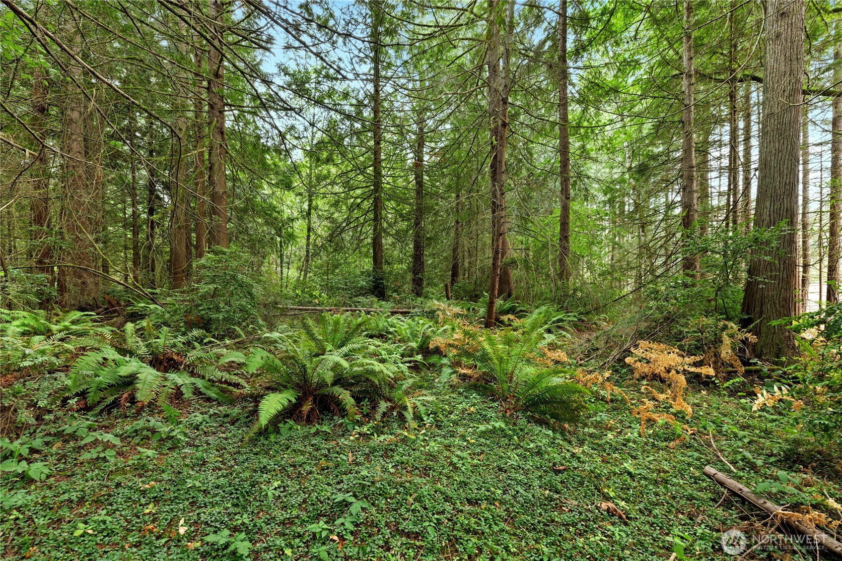 19301 Viking Avenue Property Photo 12