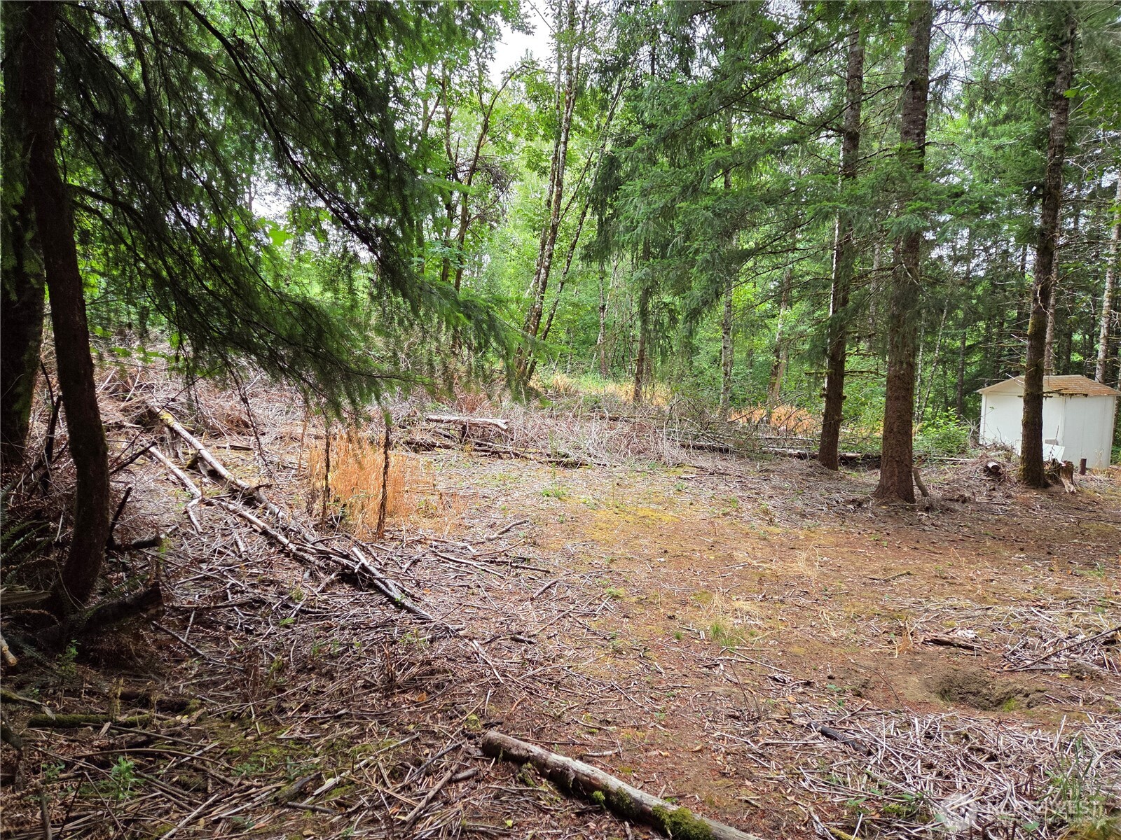 21024 Zenkner Valley Road Property Photo 2