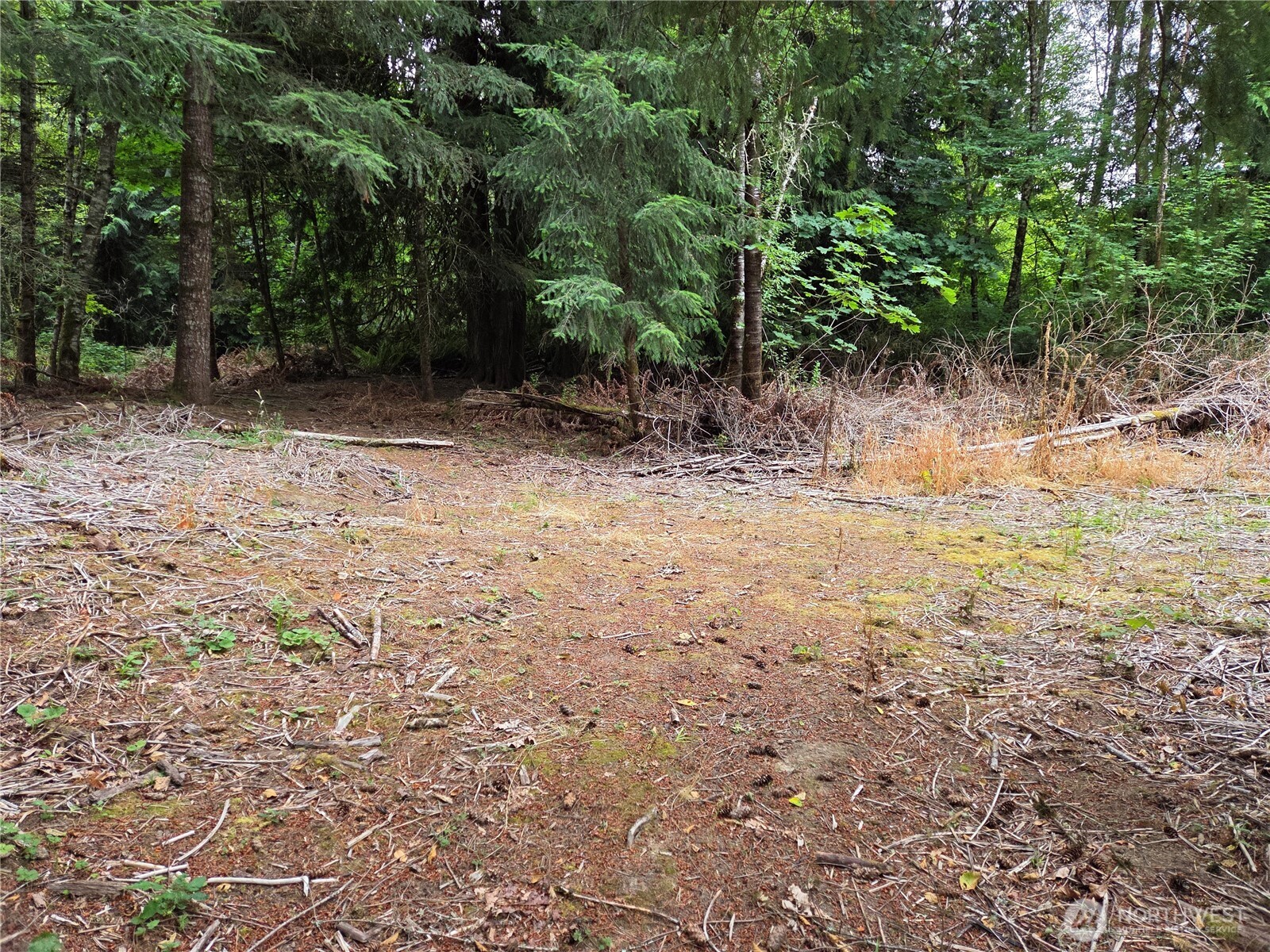 21024 Zenkner Valley Road Property Photo 3
