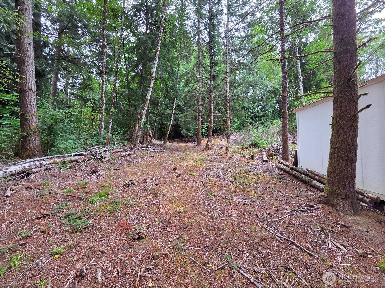 21024 Zenkner Valley Road Property Photo 4