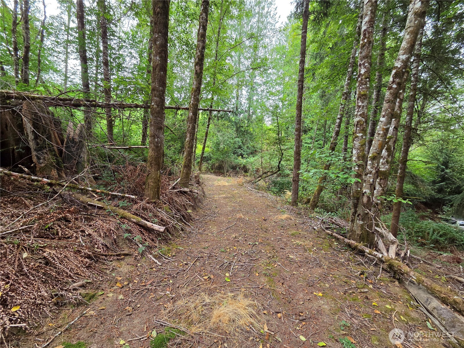 21024 Zenkner Valley Road Property Photo 6