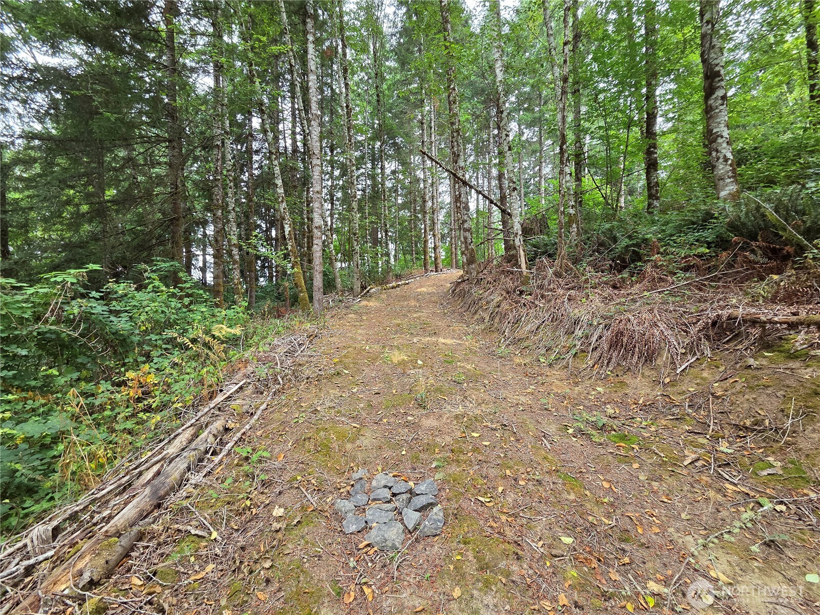 21024 Zenkner Valley Road Property Photo 7
