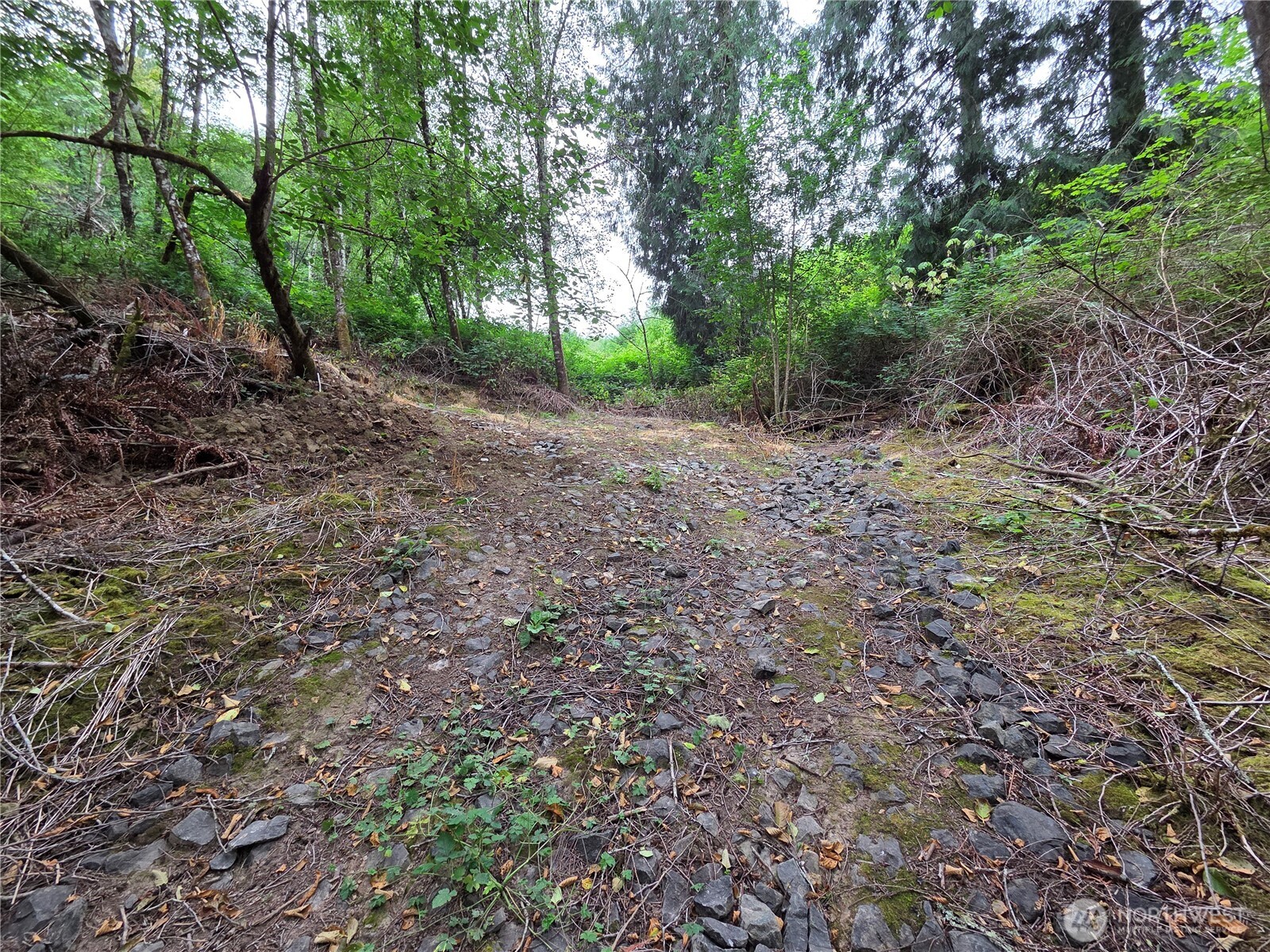 21024 Zenkner Valley Road Property Photo 8