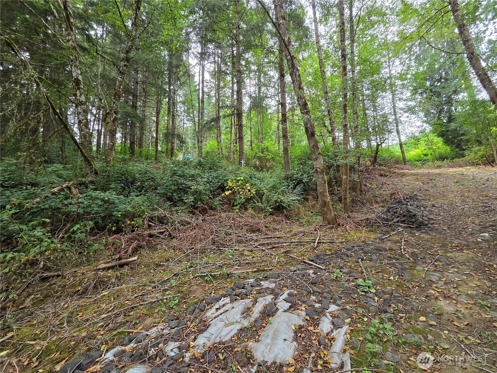 21024 Zenkner Valley Road Property Photo 9
