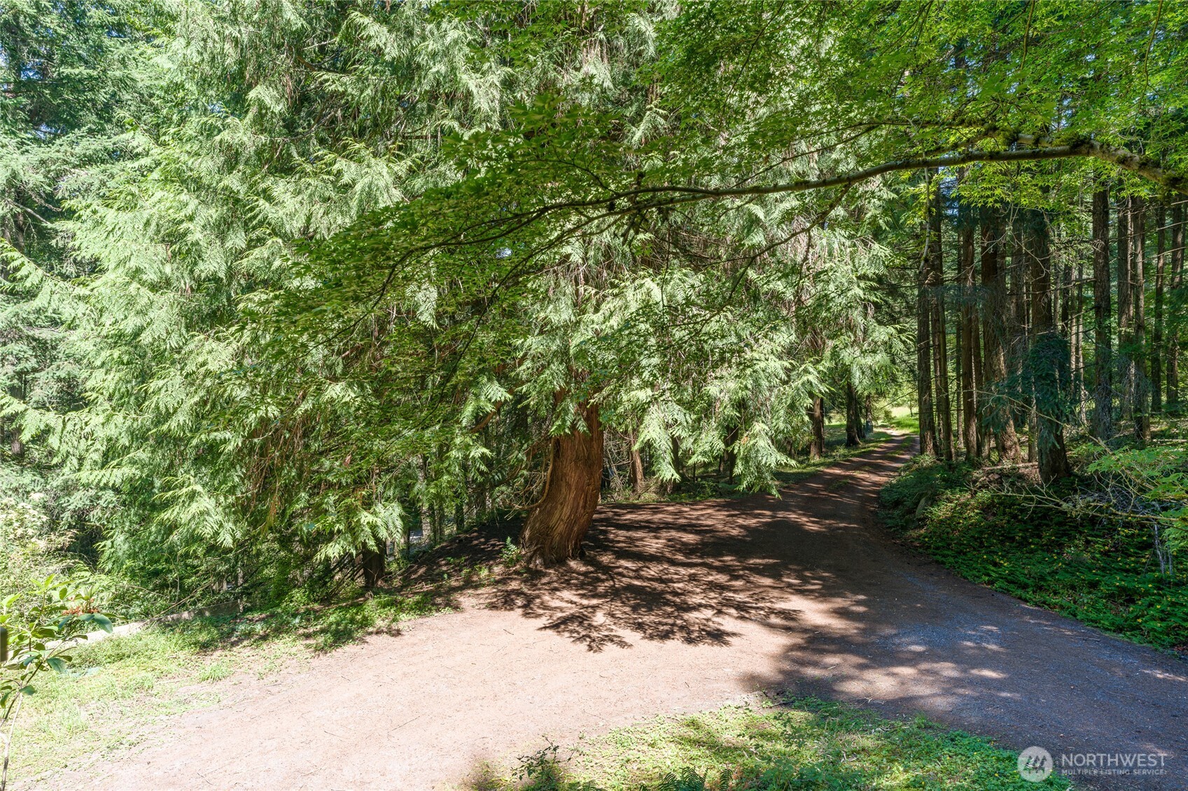 76 Lookout Loop Property Photo 28