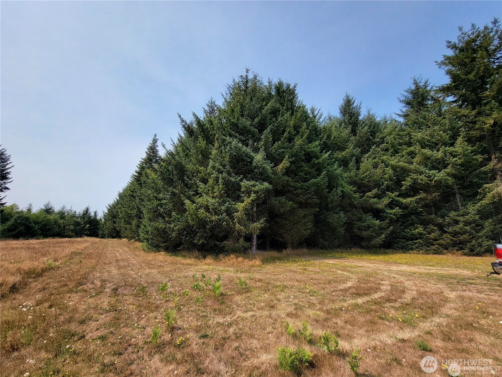 127 Port Crescent Trail Property Photo 3