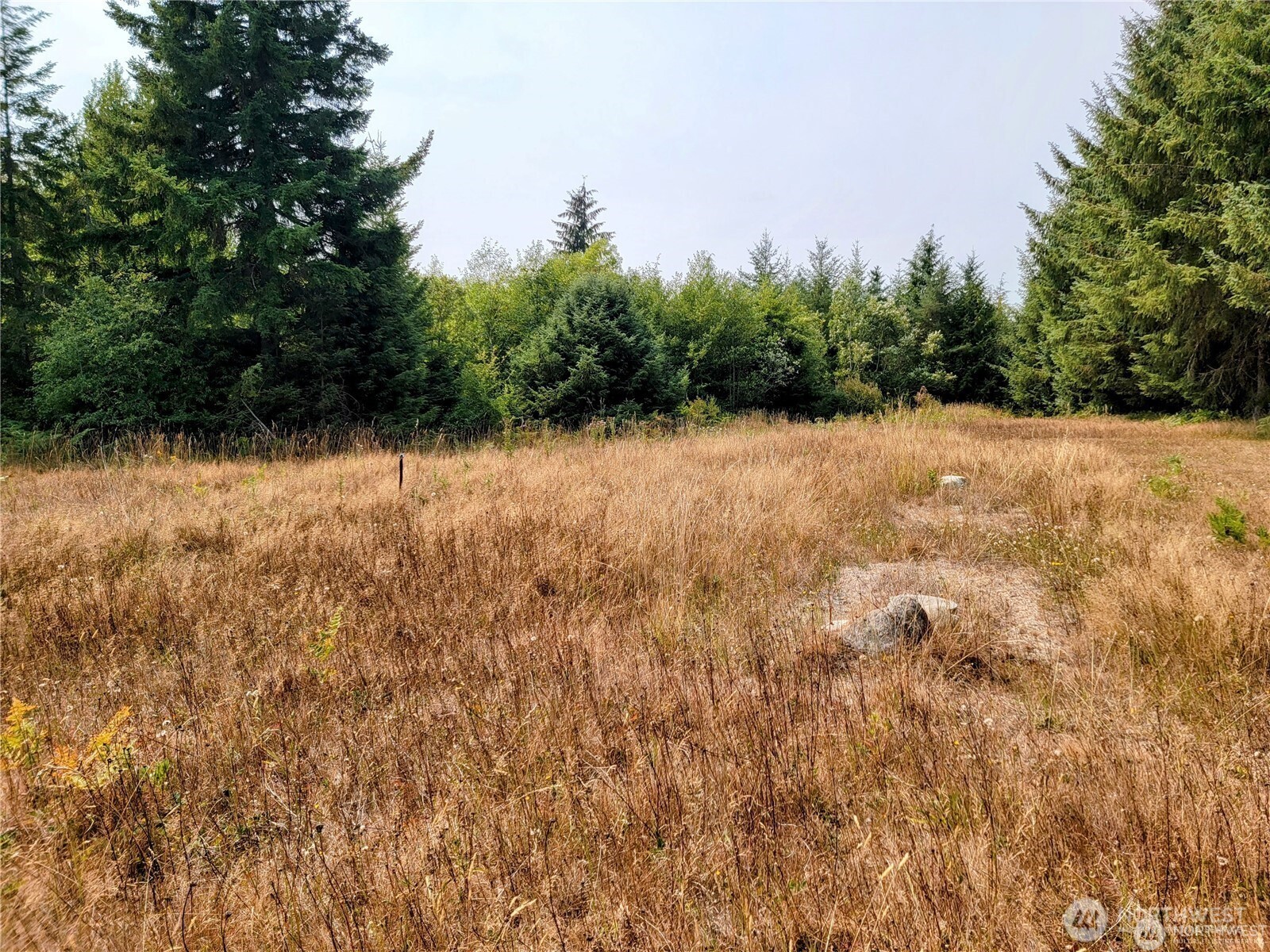 127 Port Crescent Trail Property Photo 4