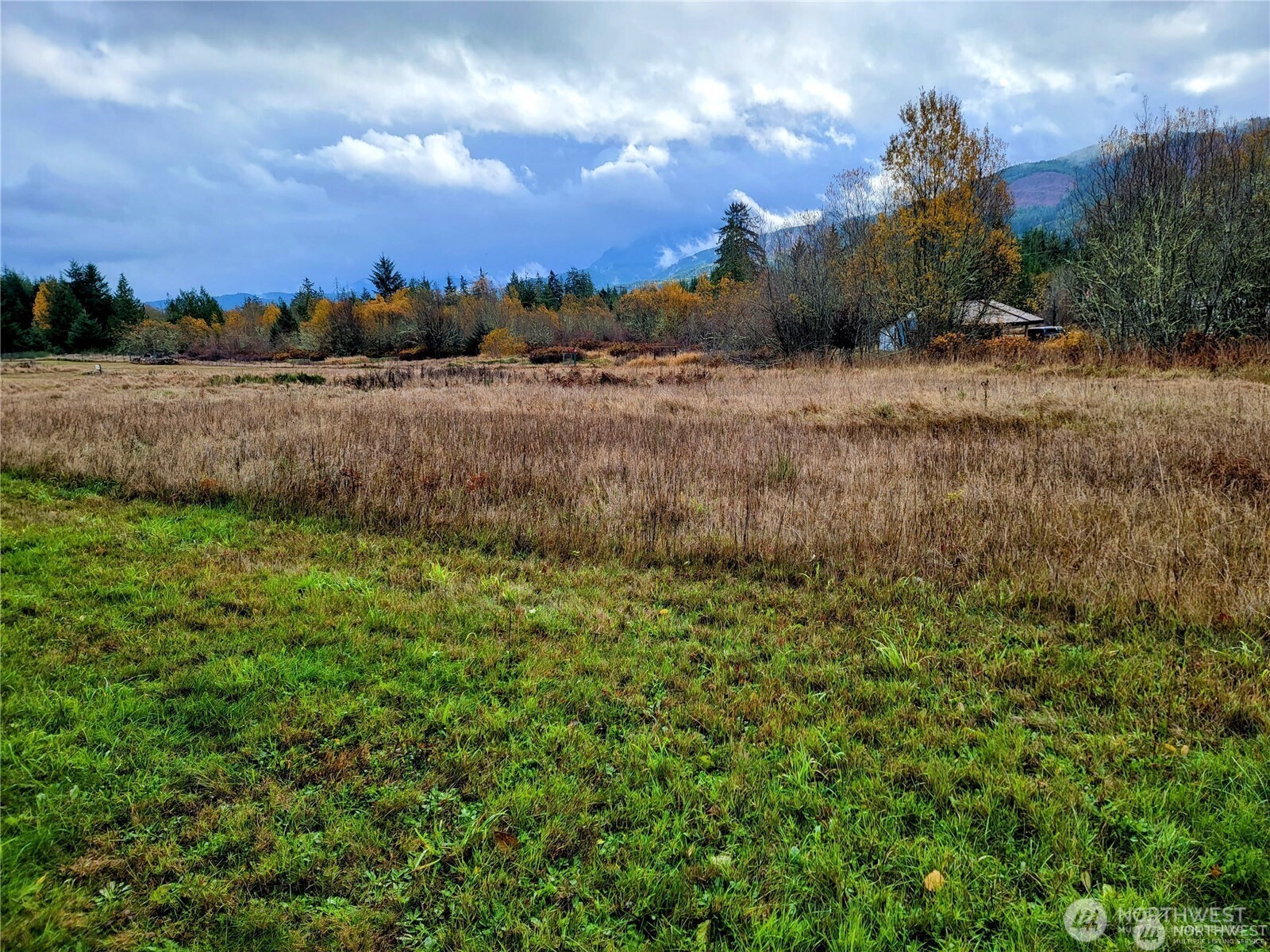 127 Port Crescent Trail Property Photo 8
