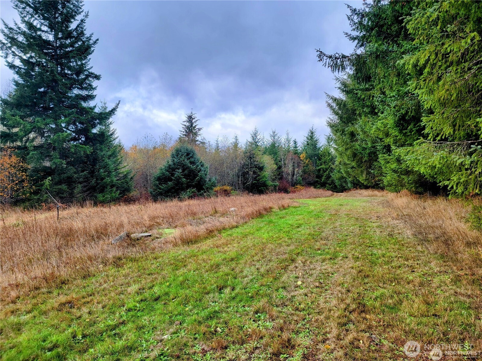 127 Port Crescent Trail Property Photo 9