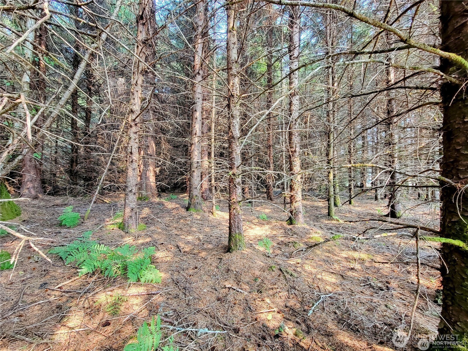 127 Port Crescent Trail Property Photo 11