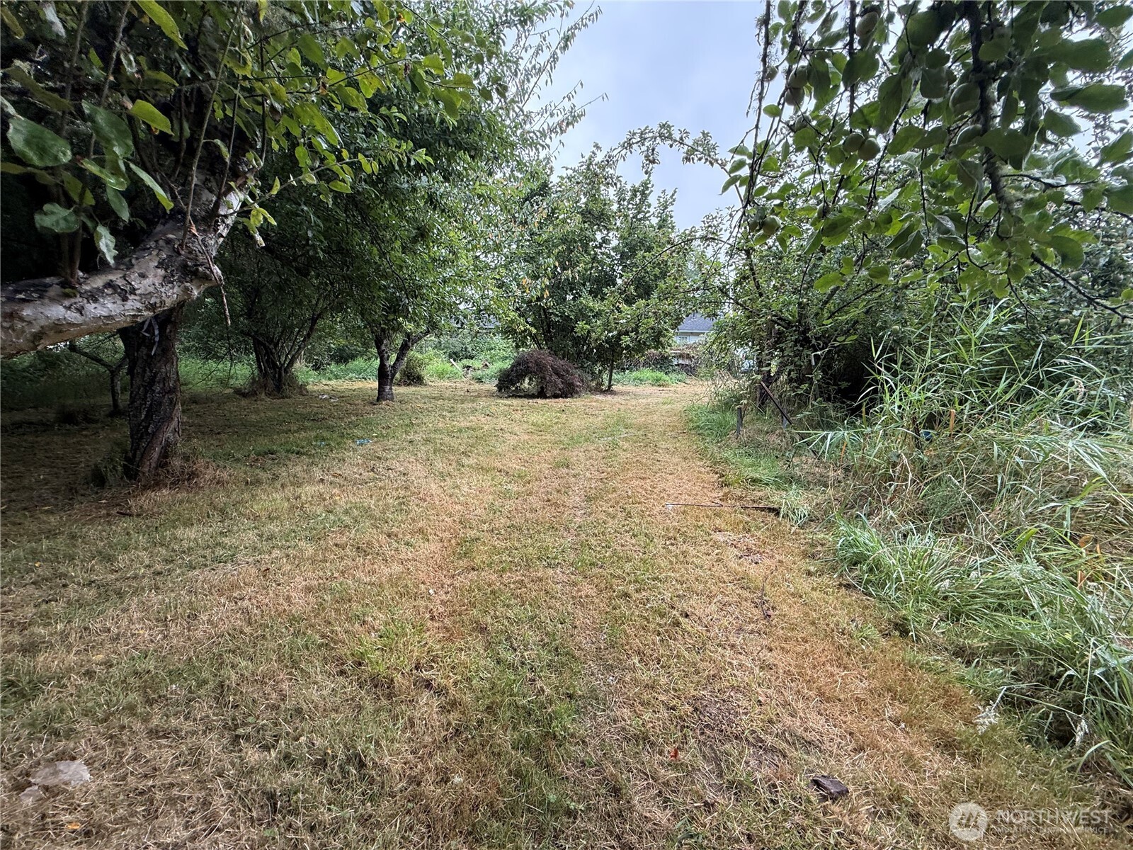 664 State Route 409 Property Photo 38
