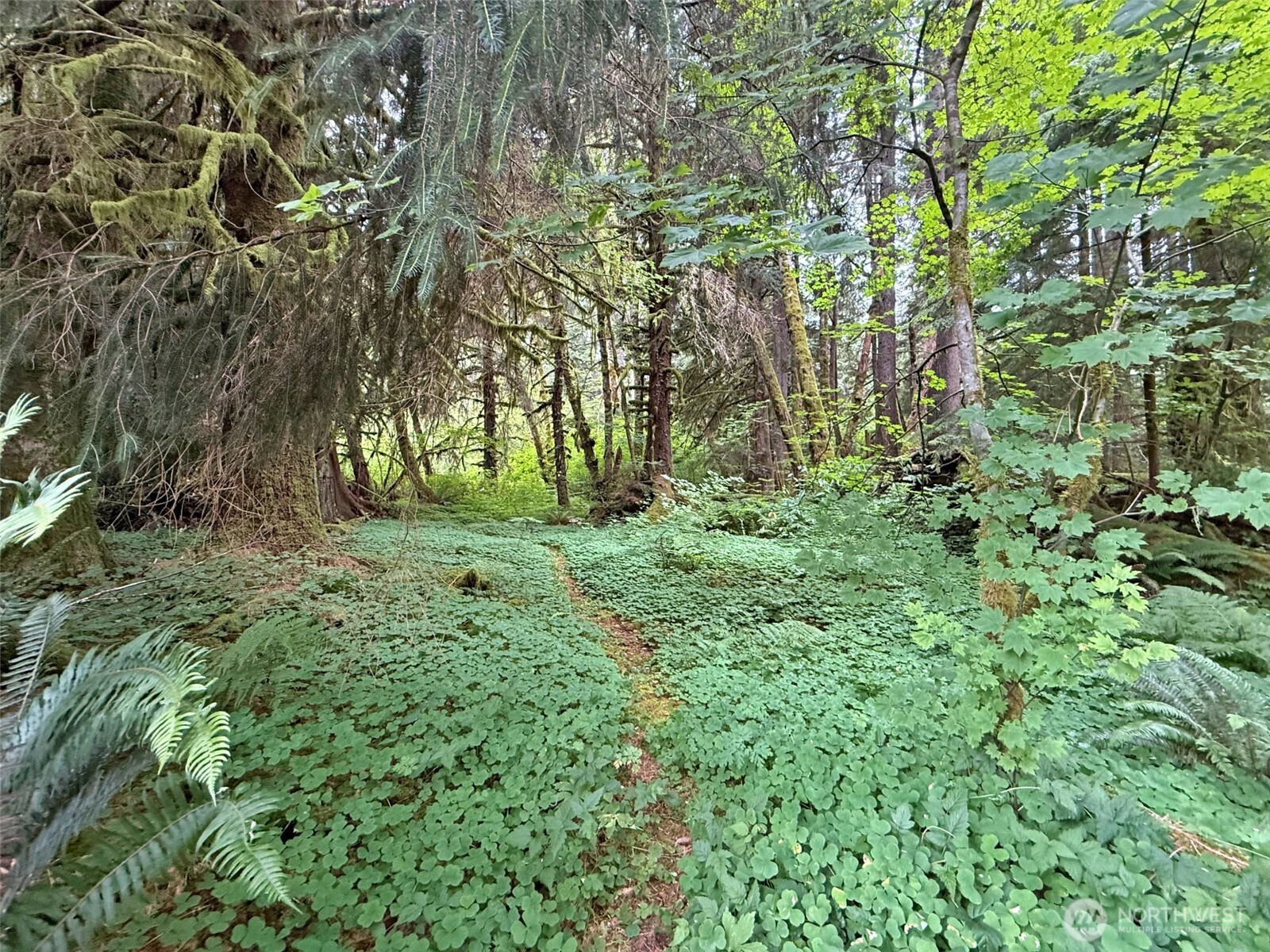 2453 State Route 7 Property Photo 34