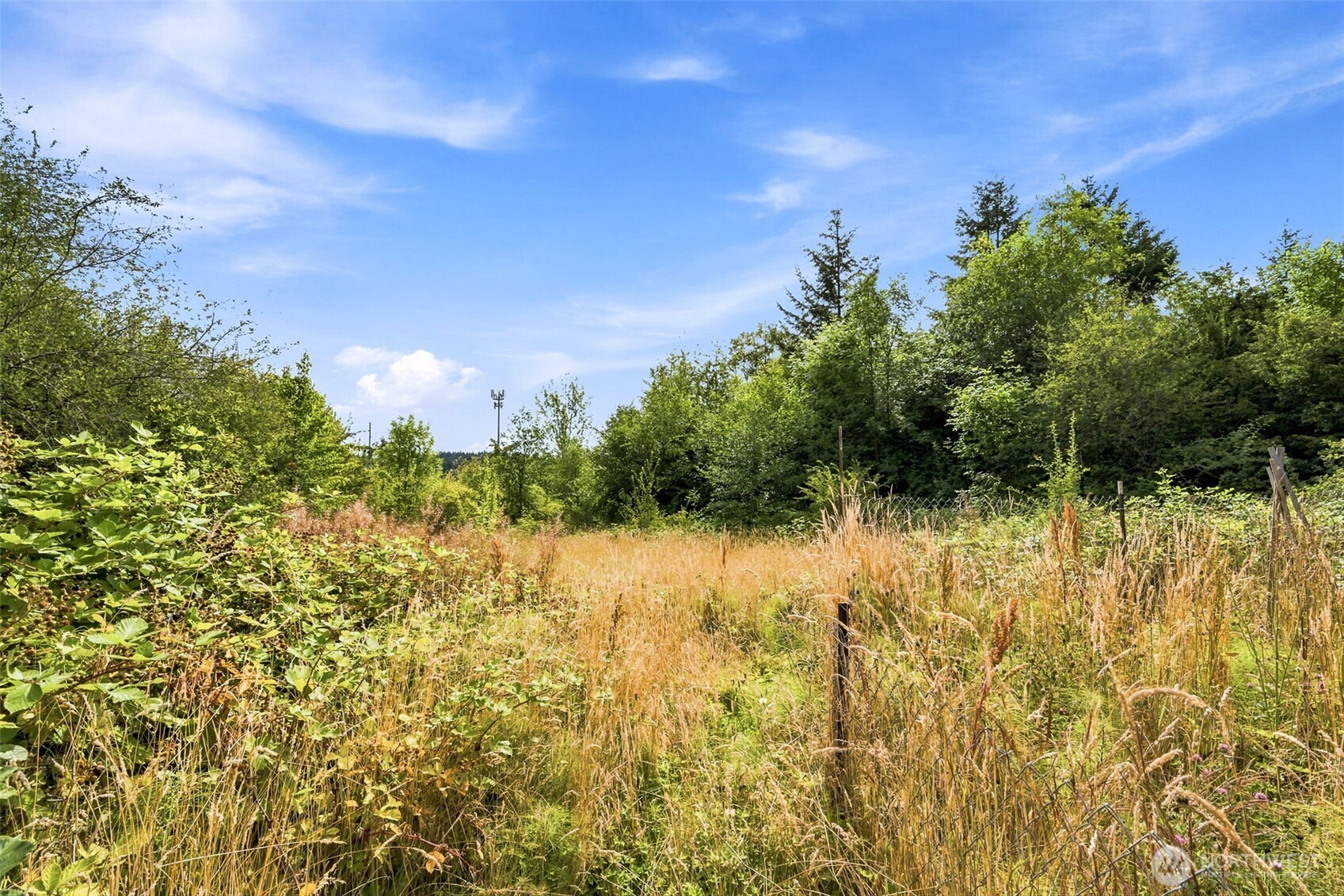 5544 Old Hwy 410 5542 Property Photo 9