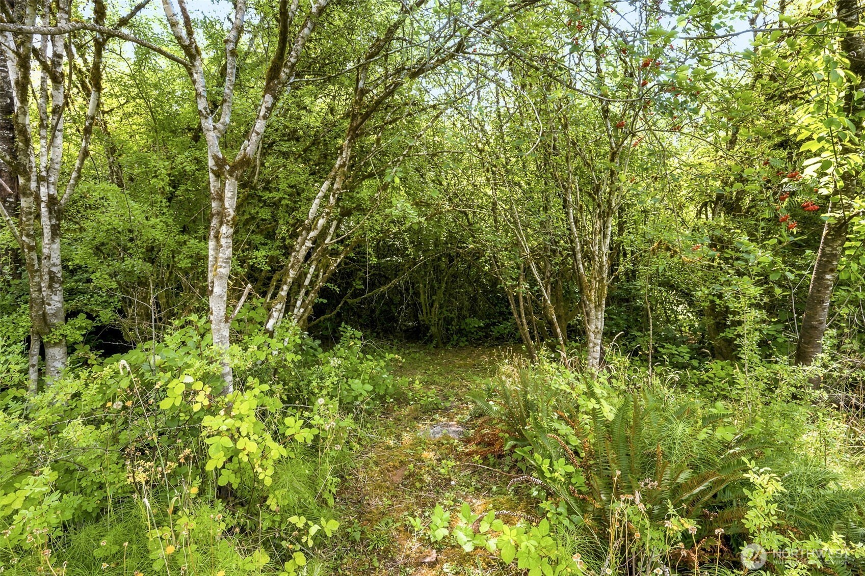 5544 Old Hwy 410 5542 Property Photo 15