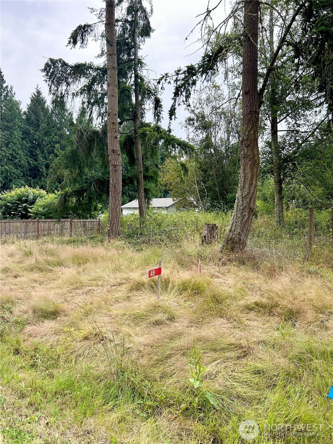 48 Lewis Avenue Property Photo 1