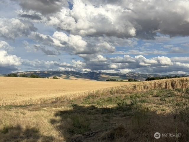 260 Coyote Ridge Drive Property Photo 40