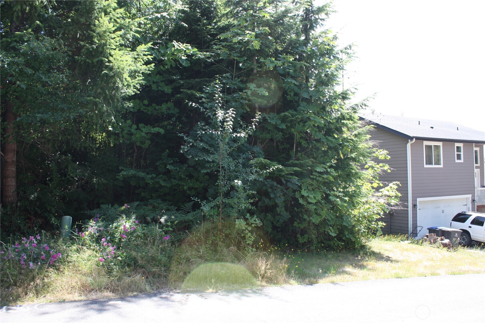 70 E Ellinor Peak Place Property Photo 10