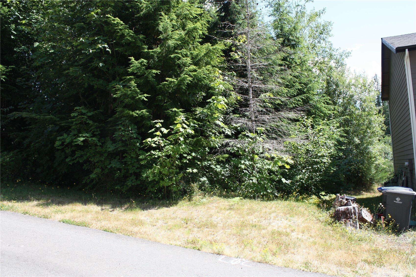 70 E Ellinor Peak Place Property Photo 11