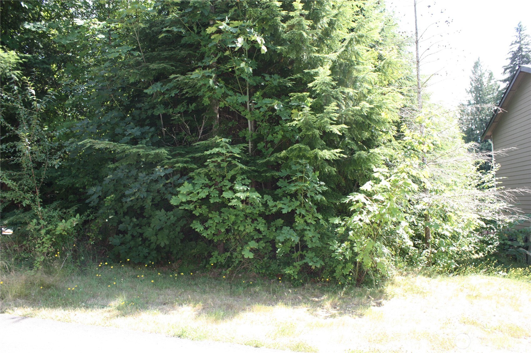 70 E Ellinor Peak Place Property Photo 12