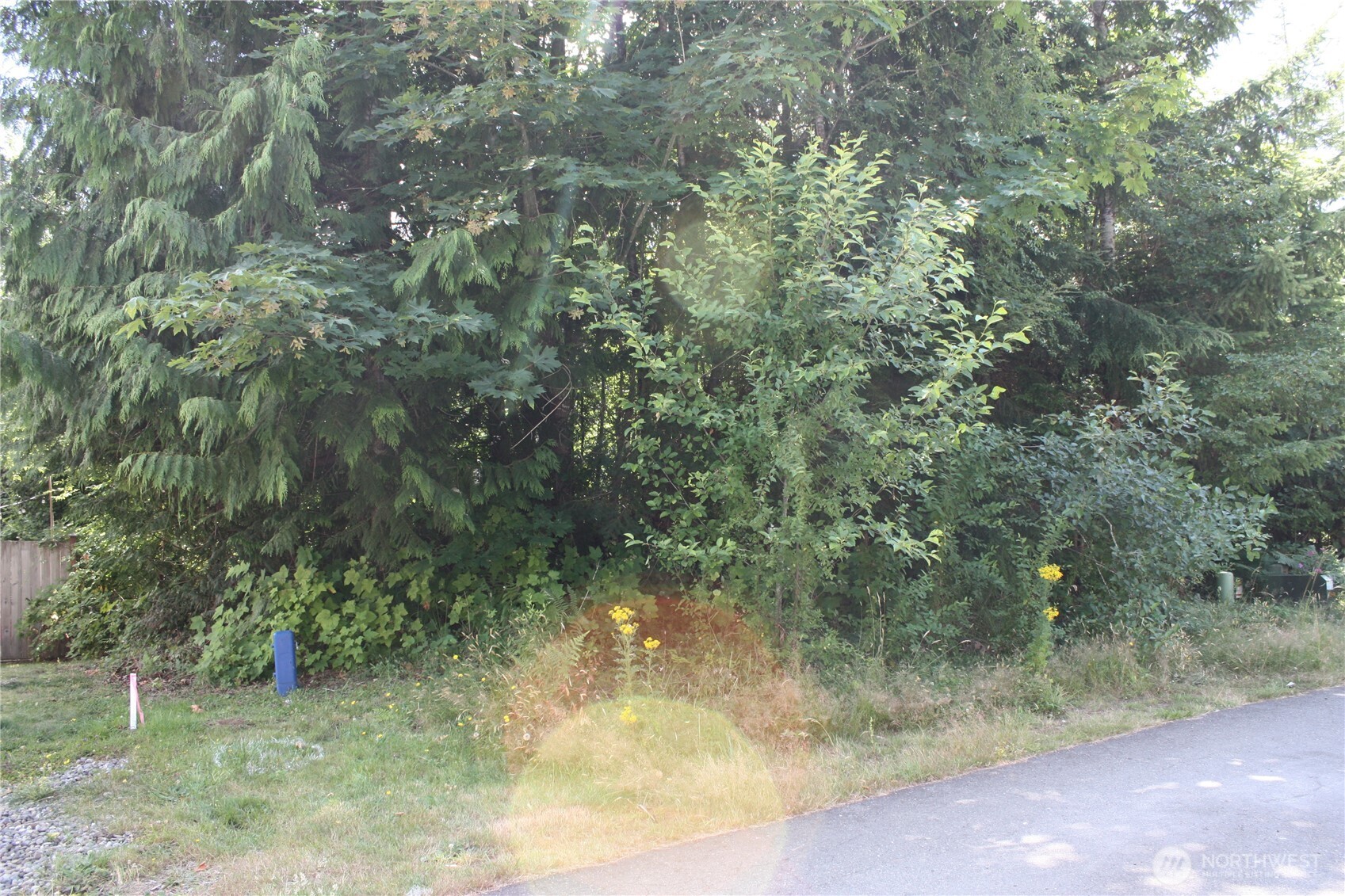 80 E Ellinor Peak Place Property Photo 14