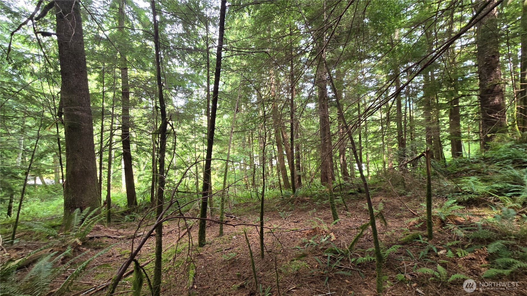 33317 Se Kent Kangley Road Property Photo 8