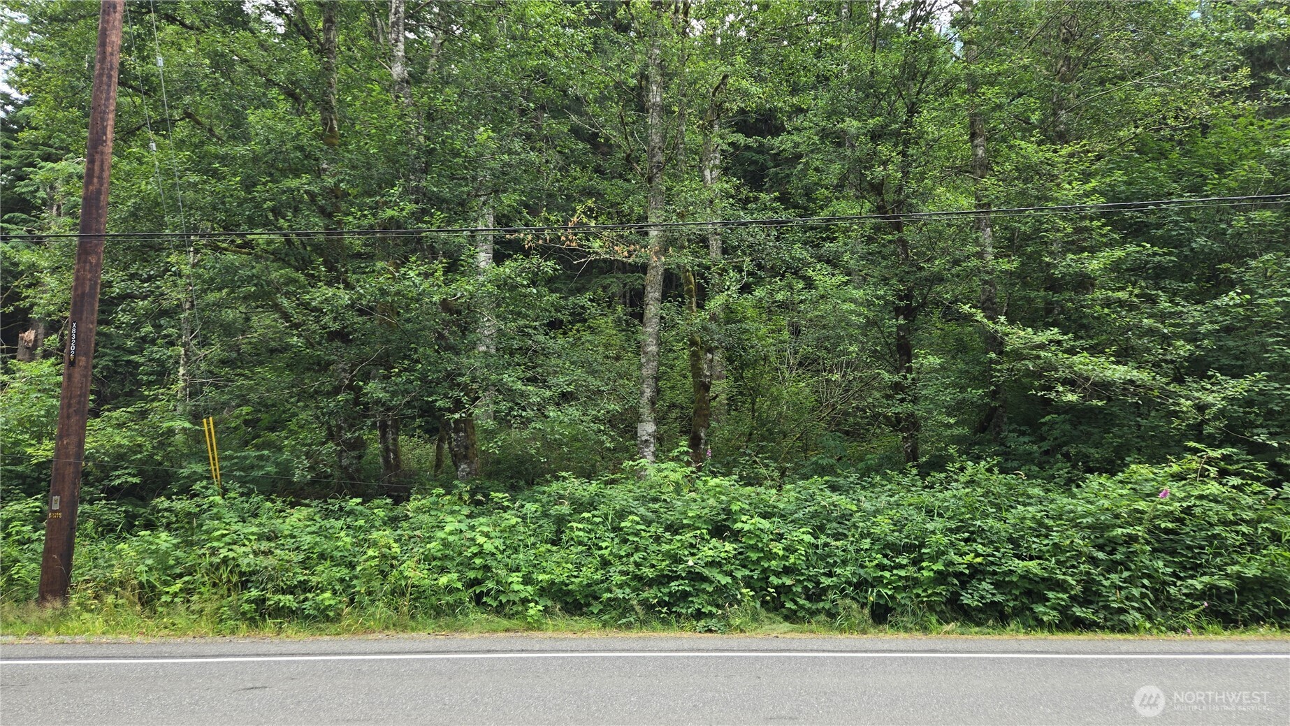 33317 Se Kent Kangley Road Property Photo 14