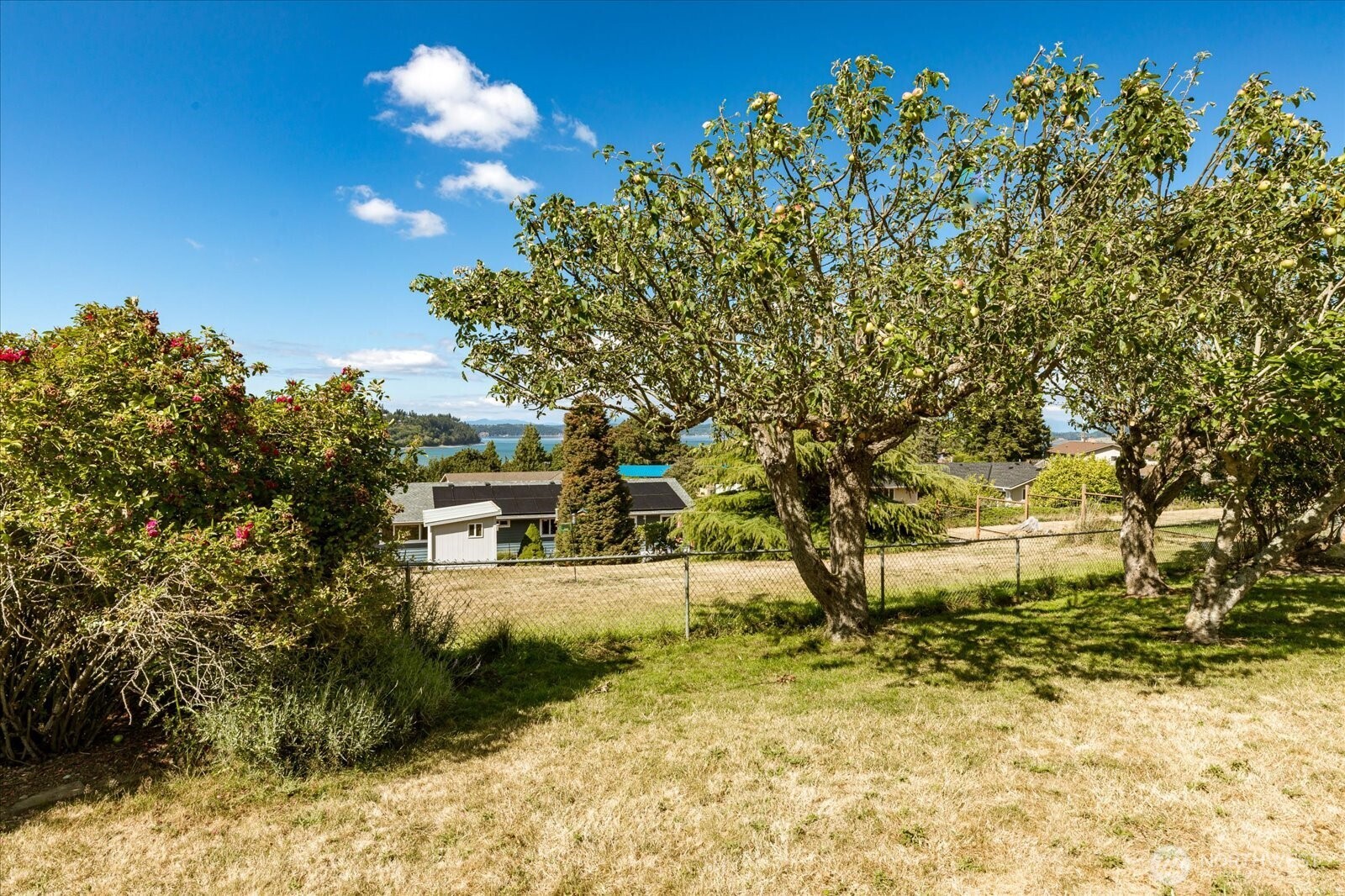 479 Elderberry Street Property Photo 32