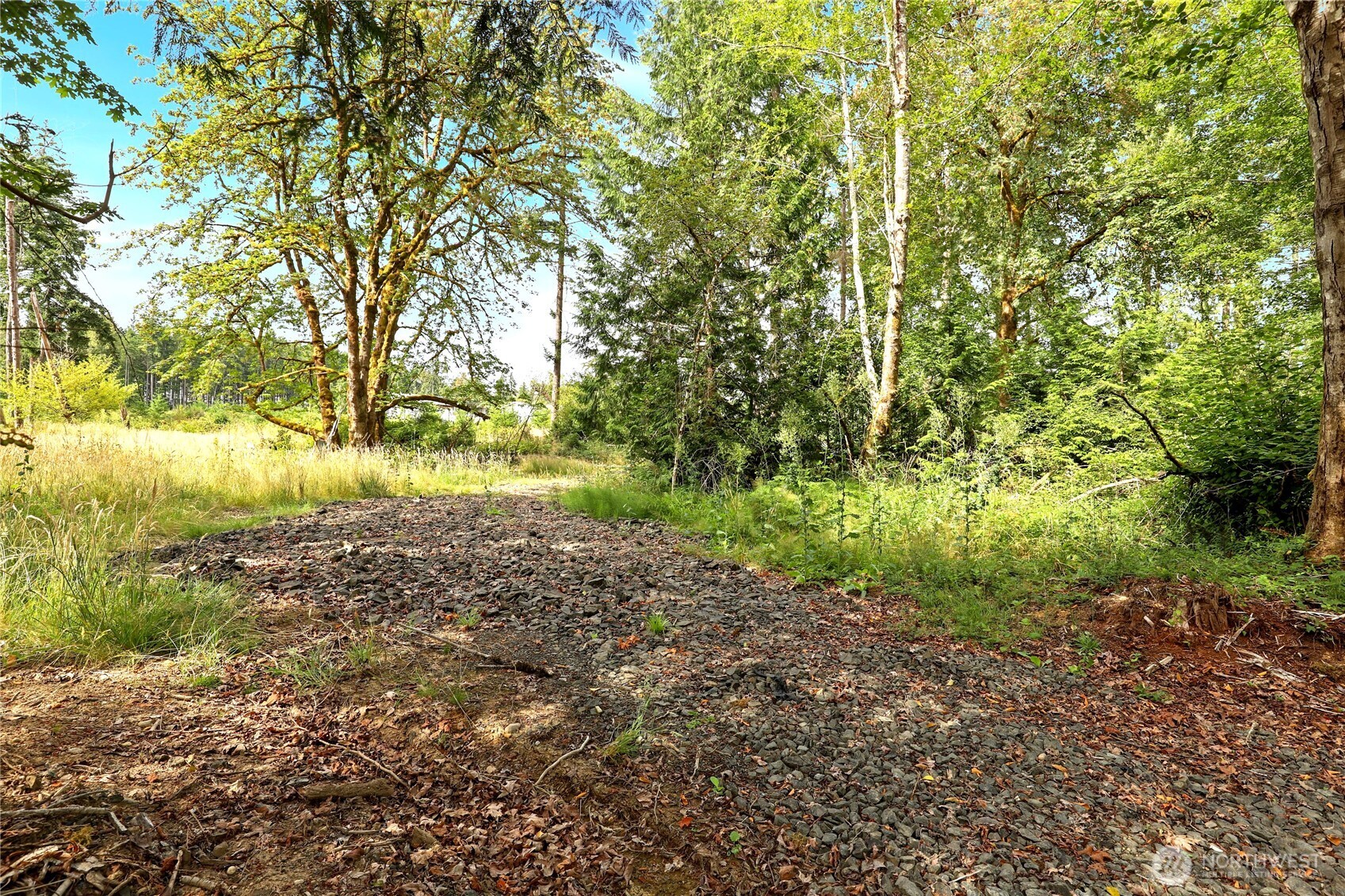 3853 146th Avenue Property Photo 9