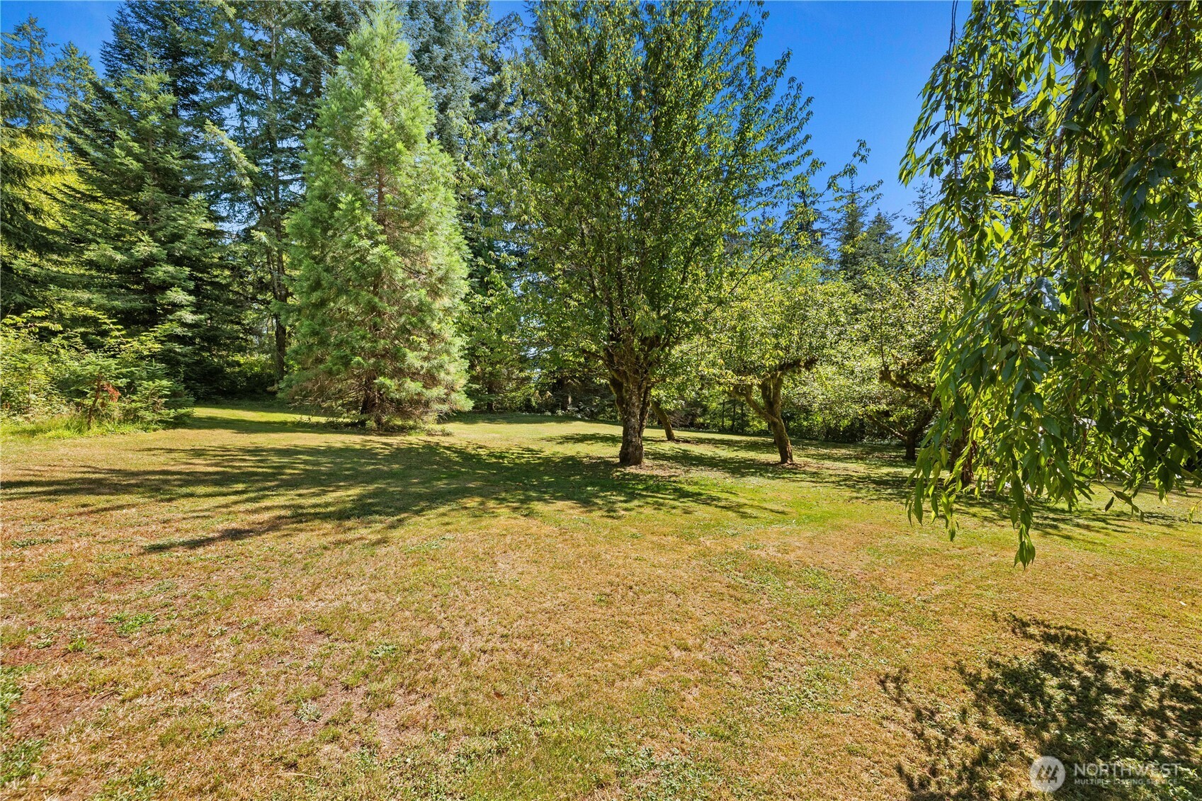 5727 Scherrer Road Property Photo 39
