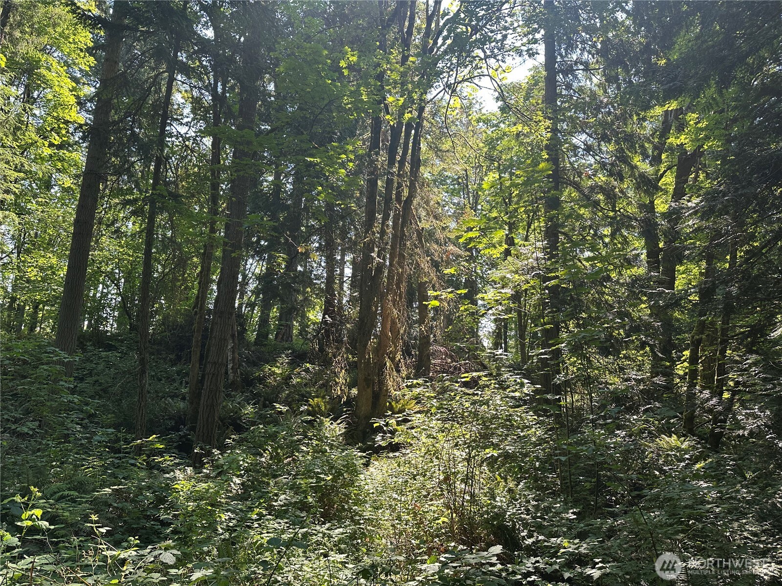 17 Shore Drive Property Photo 1