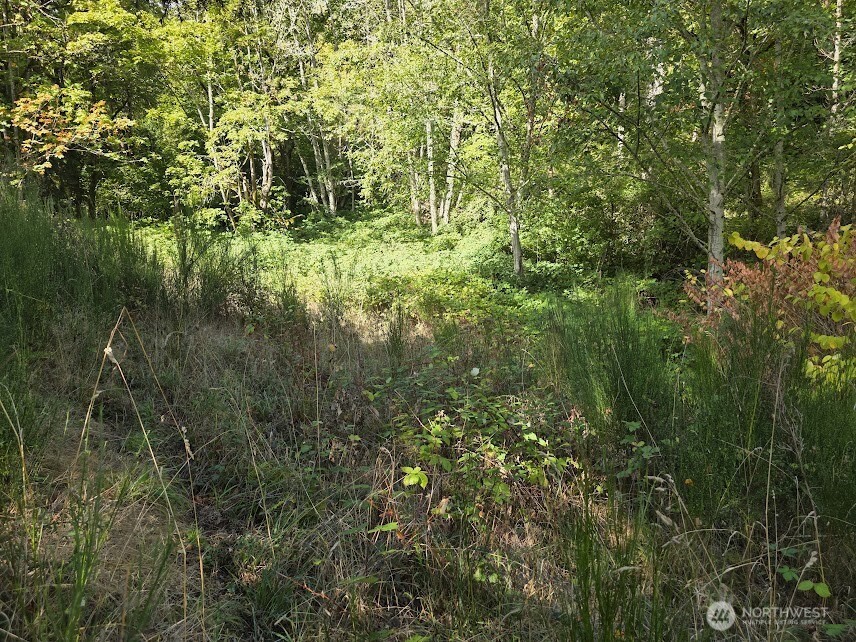 7002 Ocean Beach Highway Property Photo 6
