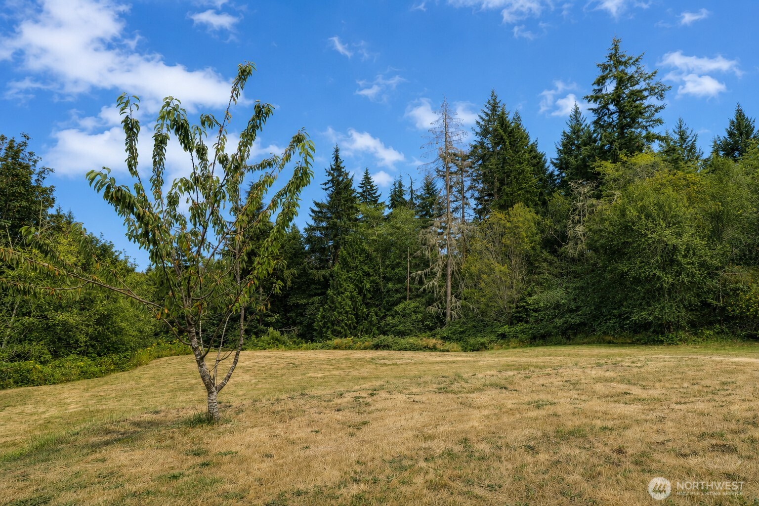8410 Kaster Drive Property Photo 31